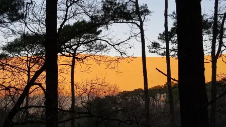 Villa - Biscarrosse Golf - 10 pers. - 5 bedrooms - 180 m² - Private swimming pool