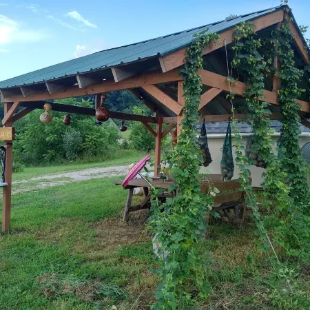 Experience a Unique  and Cozy A-Frame Retreat in the Hocking Hills
