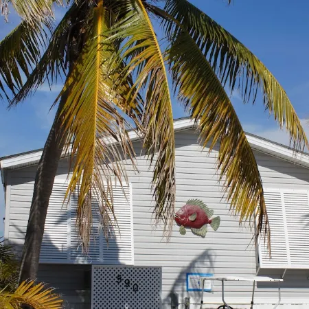 Dock, Htd 80' Pool, Deep Channel, 15 Min To Key West