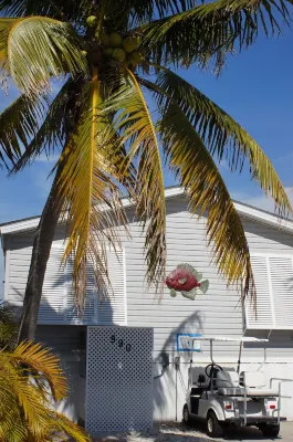 Dock, Htd 80' Pool, Deep Channel, 15 Min To Key West