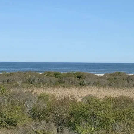 Serene Oceanfront Luxury