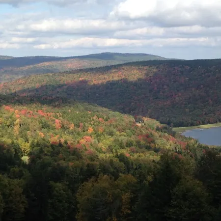 182 Shamrock Circle, Snowshoe, WV 26209  4 bedroom + loft on the top of the mtn