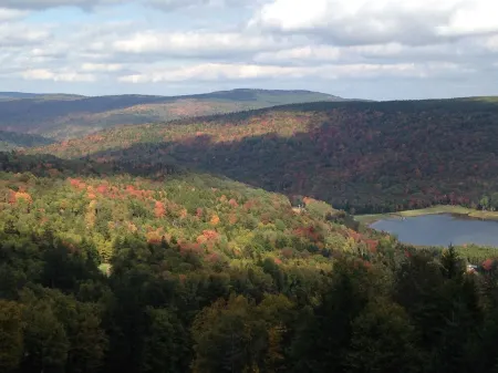 182 Shamrock Circle, Snowshoe, WV 26209  4 bedroom + loft on the top of the mtn