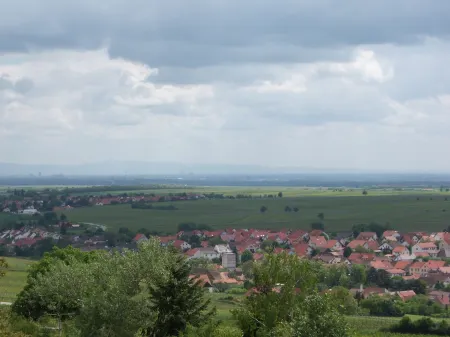 Apartment in fantastic location with view to the wineyards and the forrest Отели в г. Нойлайнинген