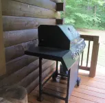 Rustic Cedar Cabin