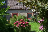 Tating Hüs "Buoy" - spacious apartment for up to 6 persons and garden use
