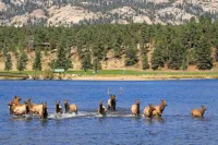 Cozy Condo Mountain Views!  So much close by-walk, bike, or drive!  ENJOY6182