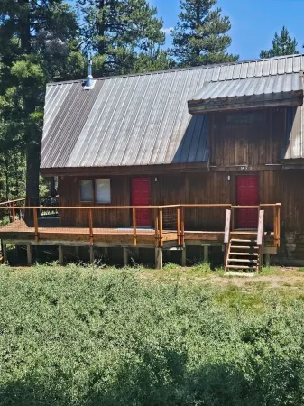 Bear Valley Alpine Cabin-3bdrm2bth