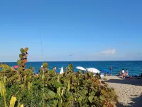 Anderson House Historical Cottage