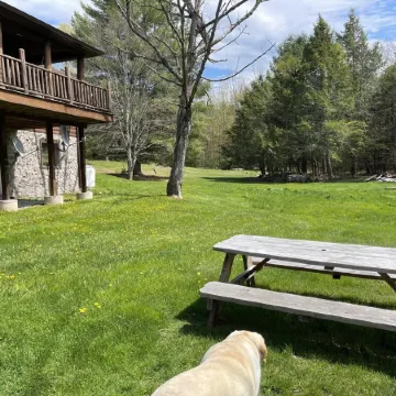 Perfect Summer / Fall Getaway with Amazing Fireplace for Gathering / Relaxation.