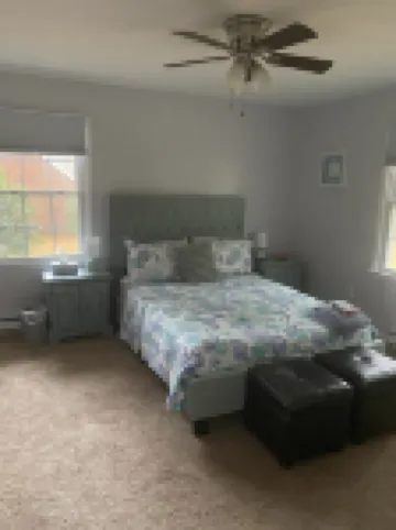 Serenity on the Pond