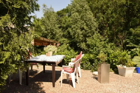 bright apartment in a secluded location with a view of nature, pets welcome