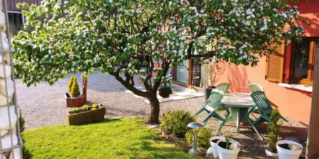 Rental of an independent cottage on the Alsace Wine Route