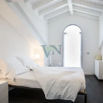 Villa Navalia - Luxury Lake Como front villa overlooking lake and mountain -