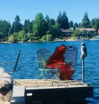 Cozy Studio 1BR, Home Lake View Full Access to Lake 6min to Airport.