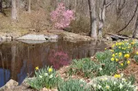 Walk to the ocean, very private. Secluded, woodsy location.