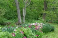 Walk to the ocean, very private. Secluded, woodsy location.