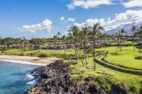 Stunning 2-bedroom Wailea Elua, walk to beach, ocean view!