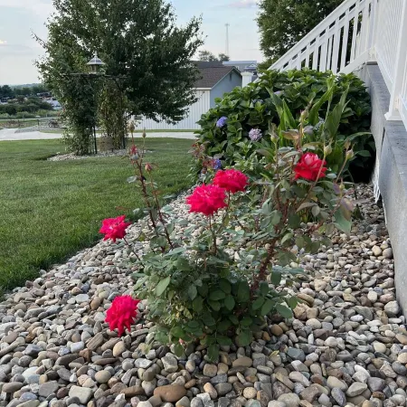 Jemma’s Hideaway in Amish Country