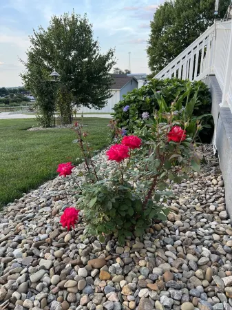 Jemma’s Hideaway in Amish Country
