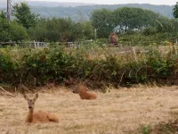 Lymington Self-Catering Garden Retreat Hotels in Lymington and Pennington