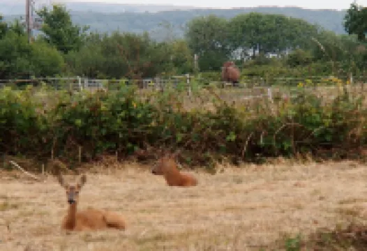 Lymington Self-Catering Garden Retreat
