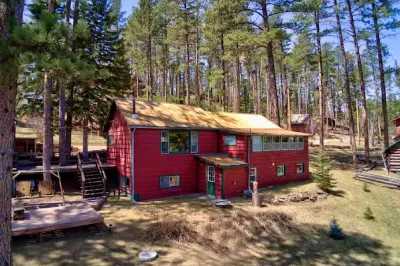Cozy cabin in the Black Hills. Pet friendly!
