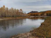 Starry Night Cabin 1-Bedroom with Loft and Mountain Views on US 93