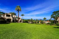 1206 The Palms-Wailea. Owner Direct. Car available.  The reviews say it all