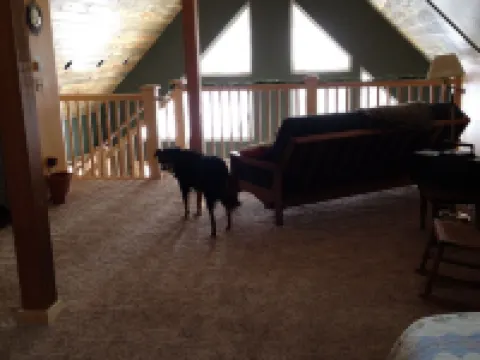 Enjoy Our New House In Historic Leadville, including your pets. Hotels in Leadville