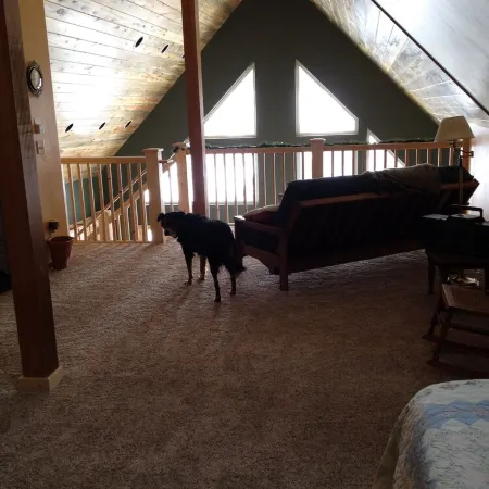 Enjoy Our New House In Historic Leadville, including your pets.