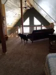 Enjoy Our New House In Historic Leadville, including your pets.