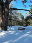 Charming 2-Bedroom Farmhouse in Walterboro-Pet Friendly, Lots of Outdoor Space