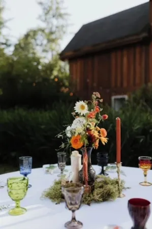 Private Mt Baker View, Hot tub, WIFI sleeps 12