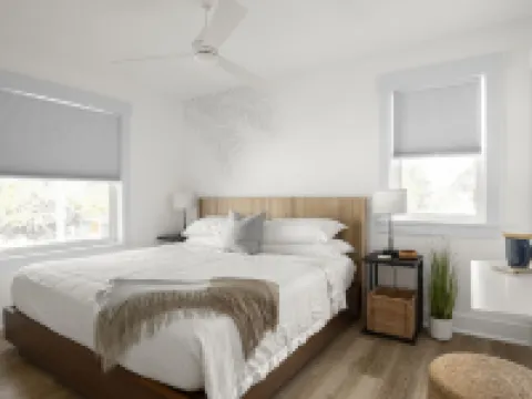 Chic Cottage Walk to Downtown Dunedin & Waterfront Pets Ok- Barefoot Parrot 3 Hotels in Dunedin