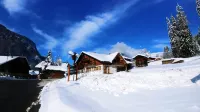 Les Salamanes - 3 double bedrooms - 2 bathrooms - domaine du Grand Massif
