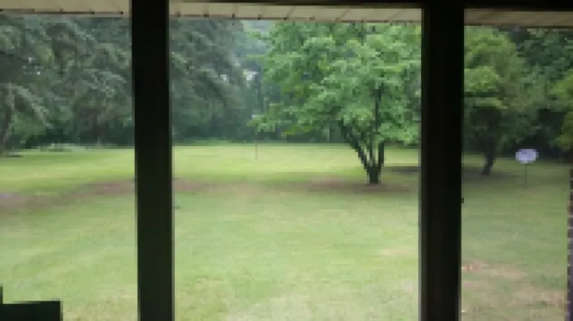 A sanctuary just 15 minutes from Detroit