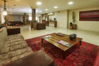 Alfa Hotel Hôtels à : Viçosa