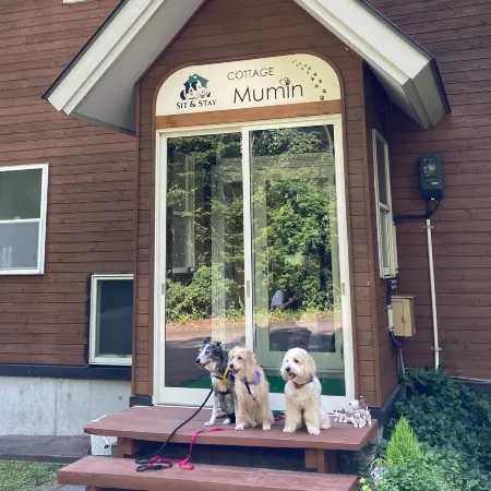 COTTAGE MUMIN