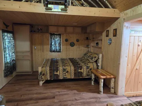 Cozy cabin in Brasher Falls, NY