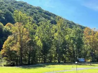 Creekside Camper & Mountain Hiking! Hotels in Randolph County
