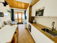 Belle Plagne 38m² duplex apartment at the foot of the slopes
