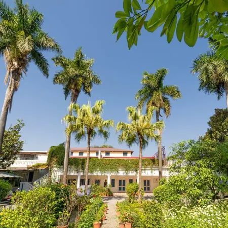 Mango Tree Courtyard Dehradun
