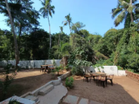 Jangala Resort