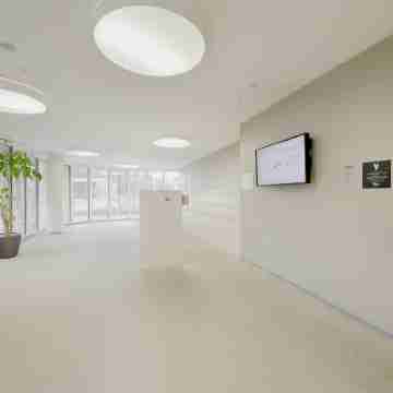 Hitrental Allmend Comfort Studios Others