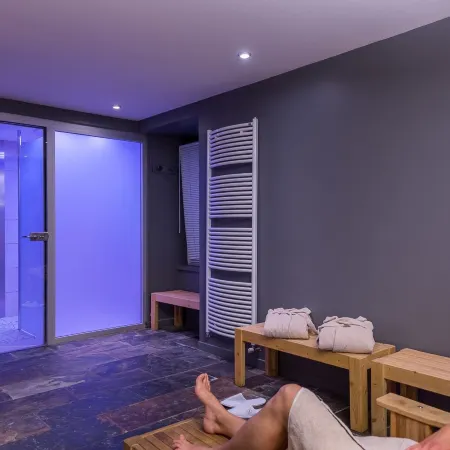 Logis le Rabelais Hôtel- Restaurant - Spa