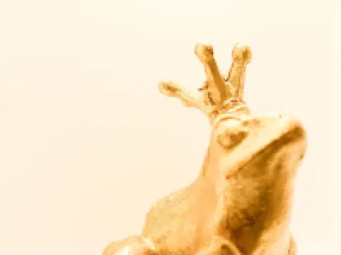 Donau Lodge Boardinghouse Hotels in Straubing