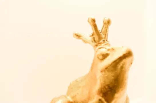 Donau Lodge Boardinghouse