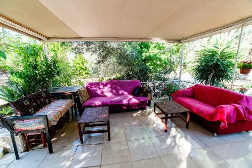 يوكاليبتس بينشن الأماكن العامة Photos