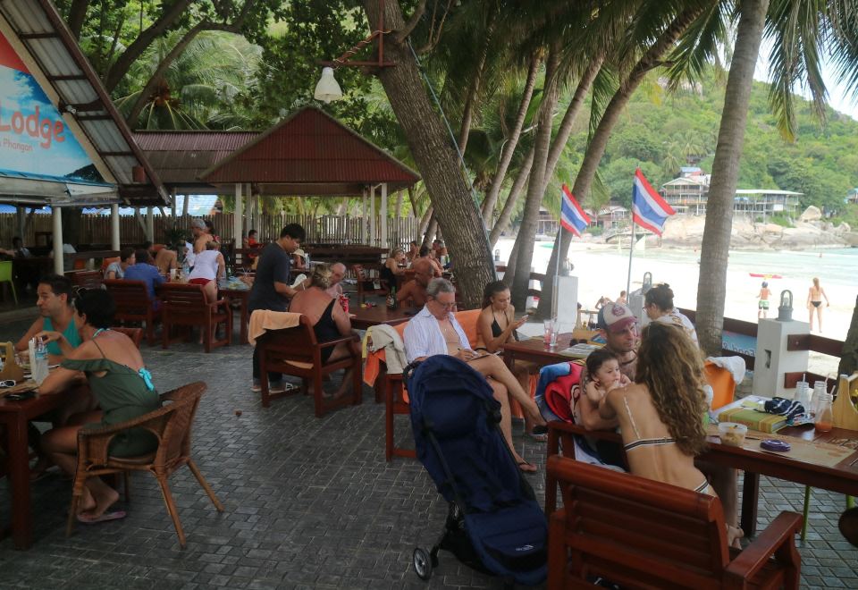 2. 팔리타 로지..